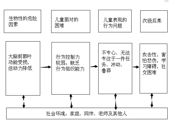 形成注意力缺損多動障礙的解釋框架